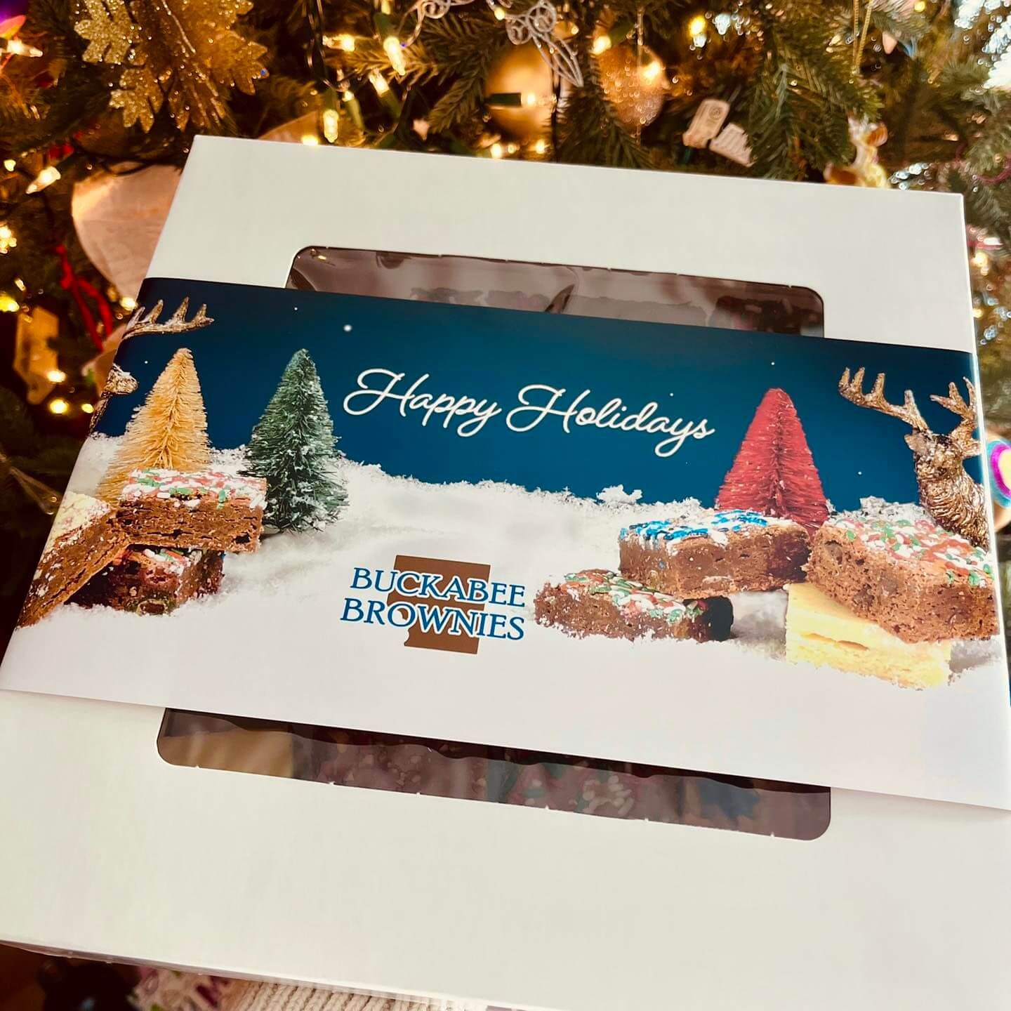 Christmas Brownie