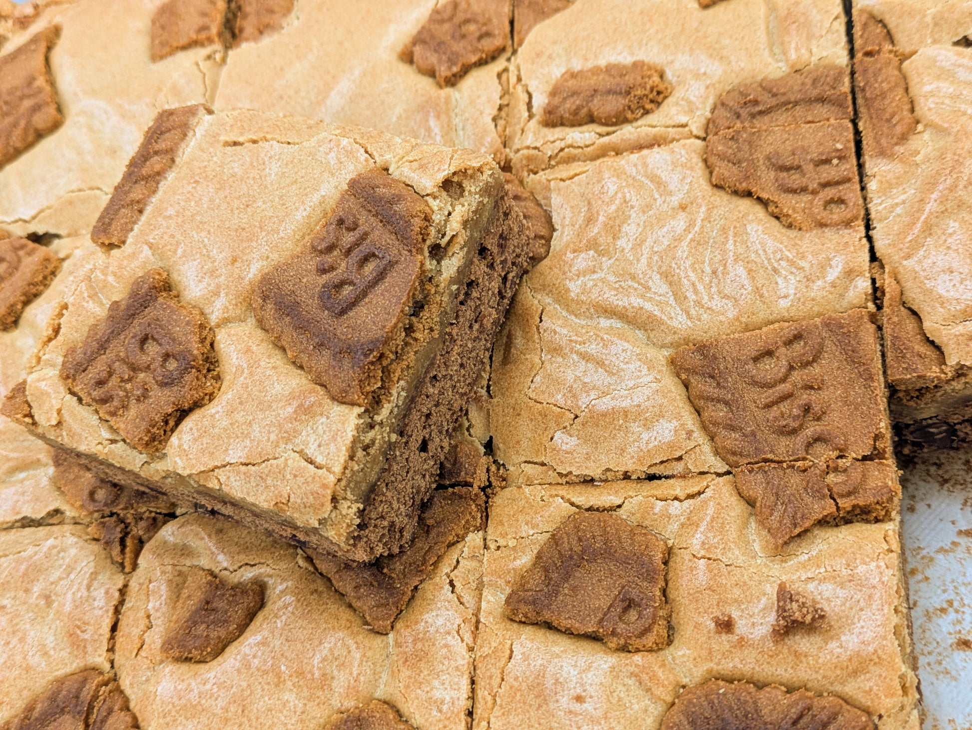 Biscoff Brookie in cut pan