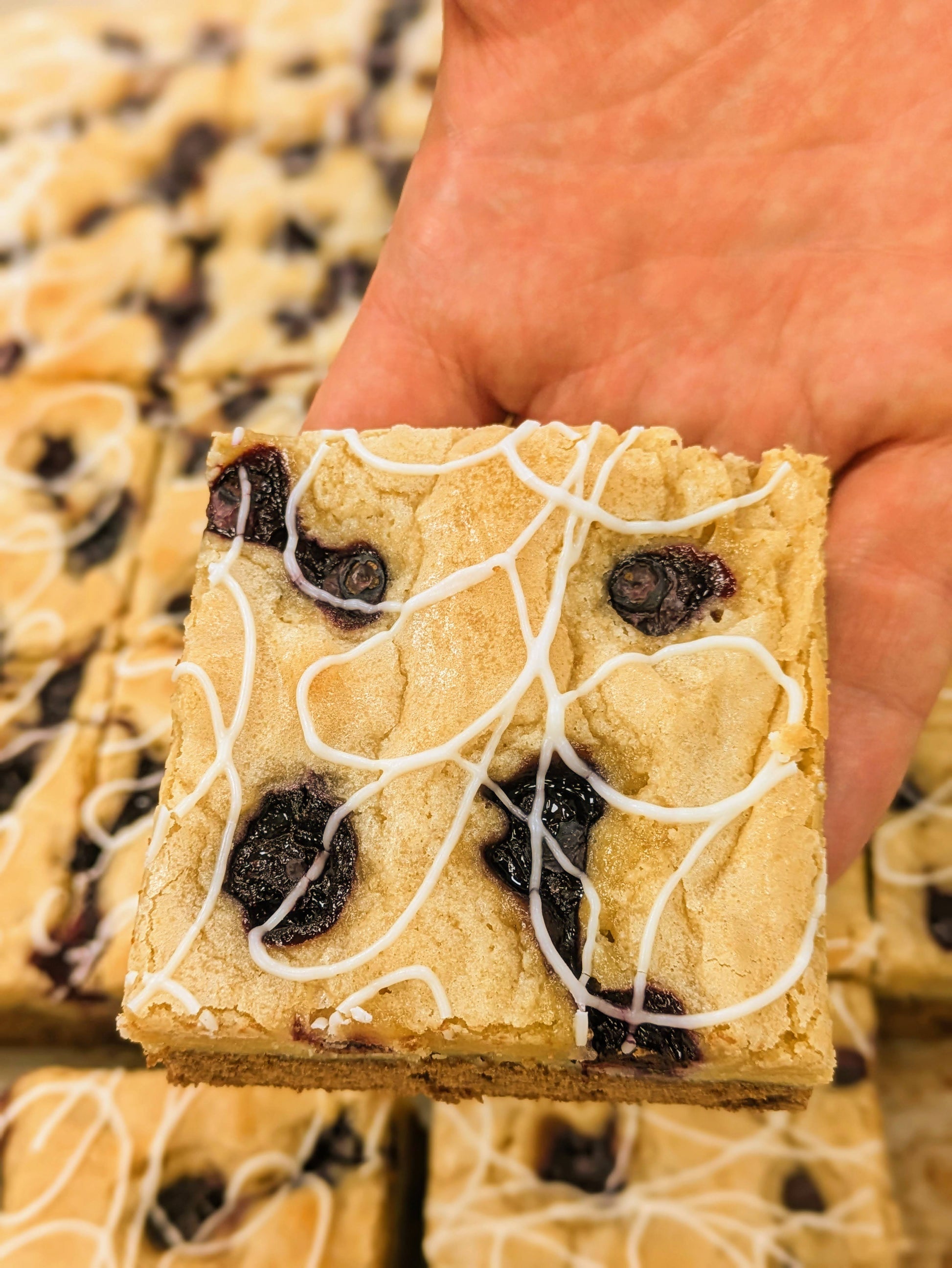 Blueberry Orange Chocolate Brookie closeup on hand
