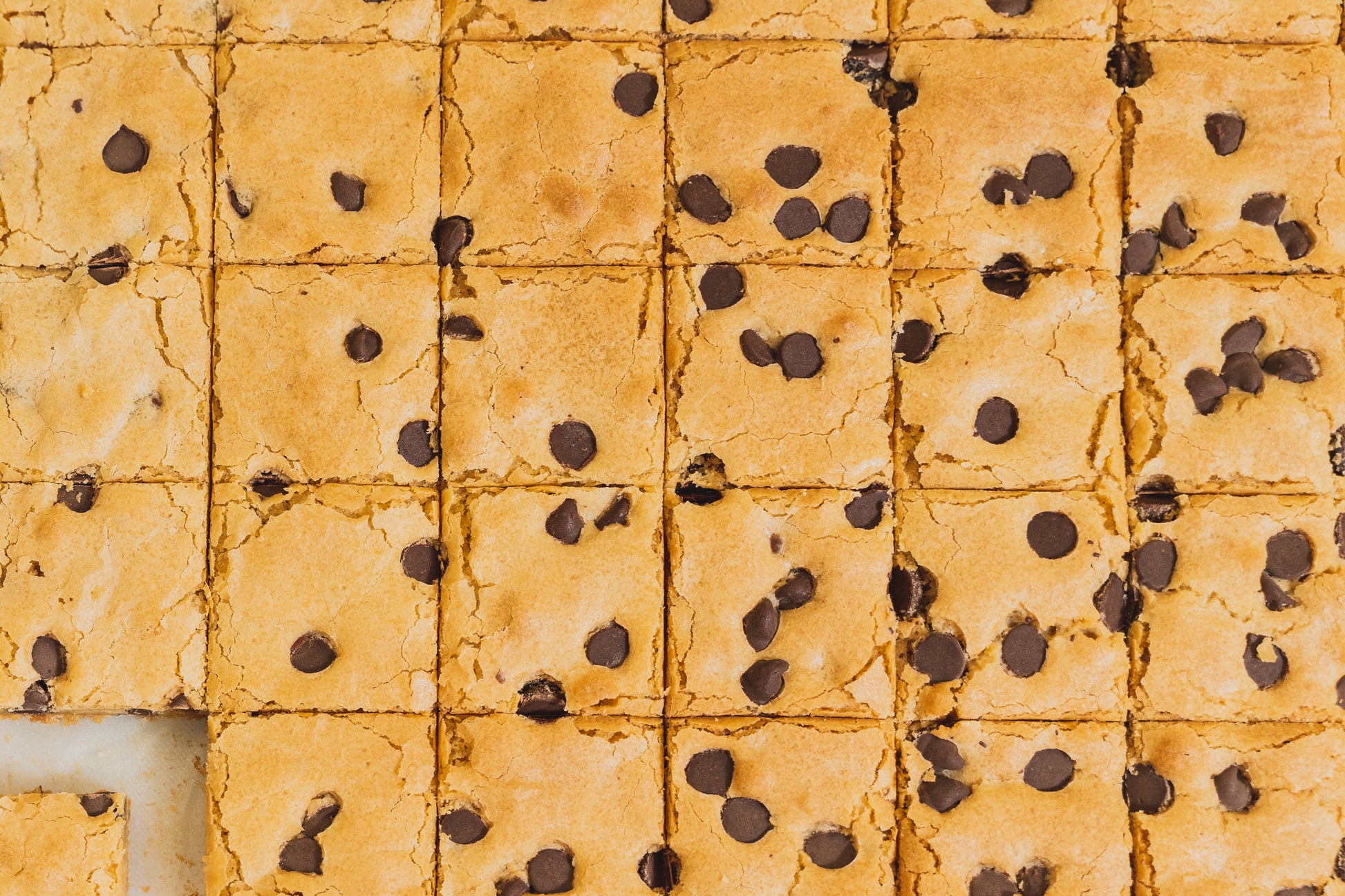 Chocolate Chip Blondies whole pan