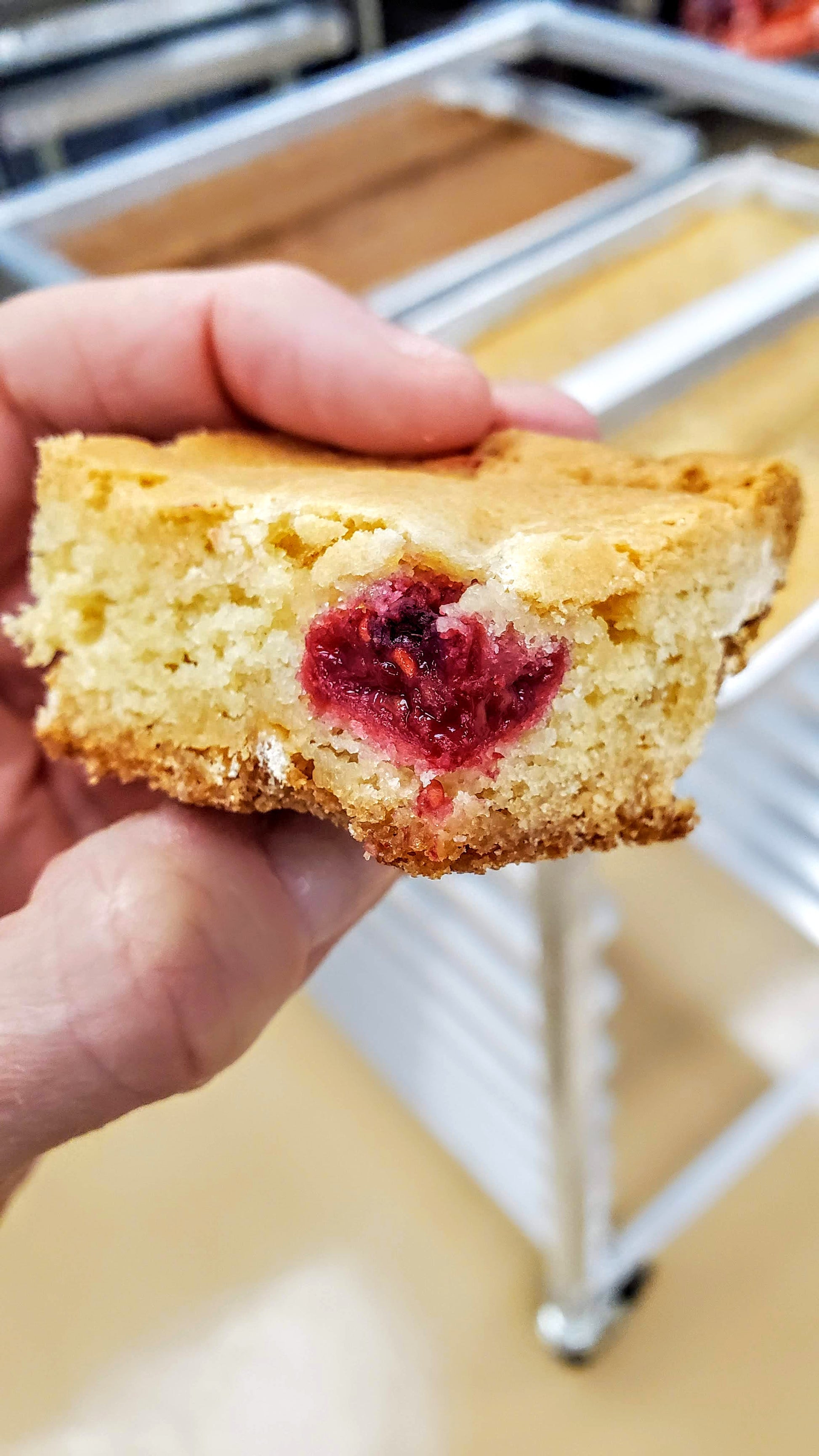Raspberry White Chocolate Blondie bite