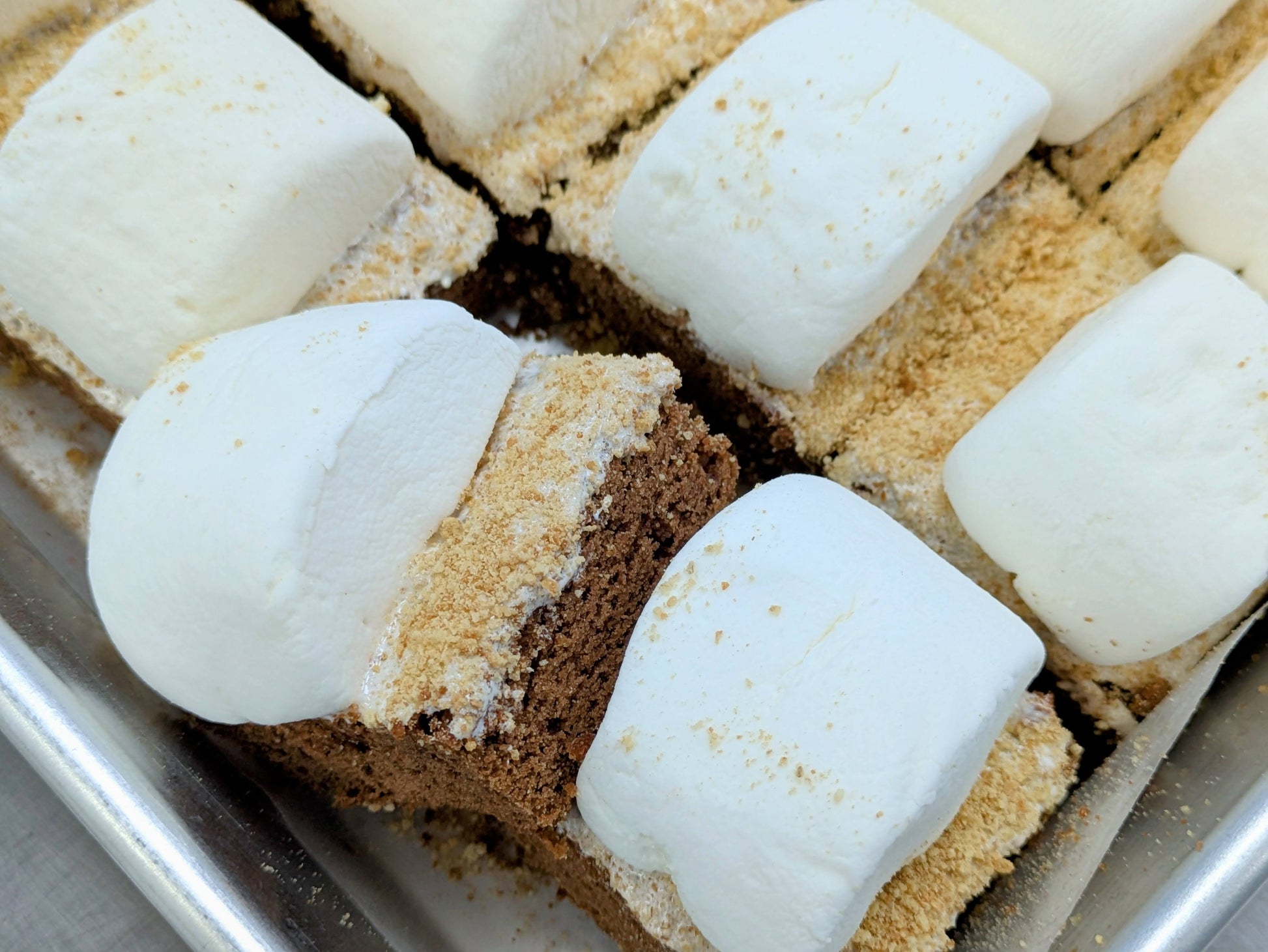 Overhead view of a full pan of S'mores Brownies, each topped with a large marshmallow and dusted with golden graham cracker crumbs