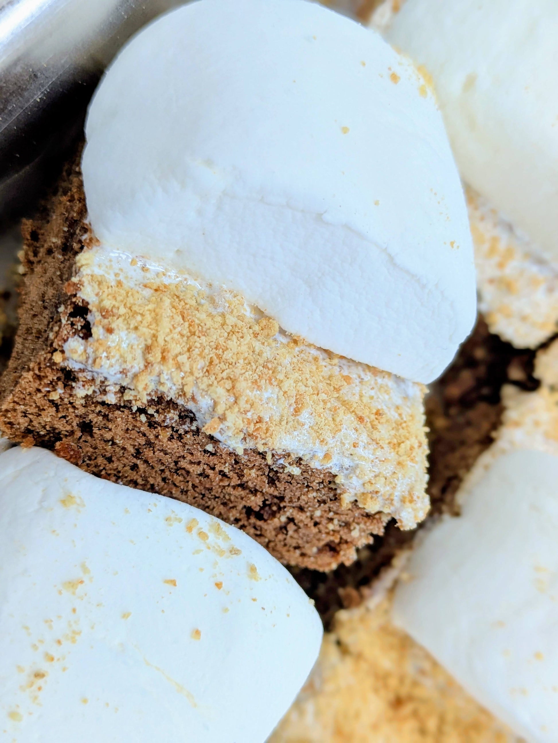 Extreme close-up of a S'mores Brownie showing layers of fudgy chocolate brownie, marshmallow fluff, crushed graham crackers, and a jumbo marshmallow on top